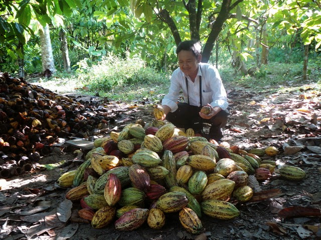 Những lợi thế để socola Việt Nam phát triển trên thị trường quốc tế