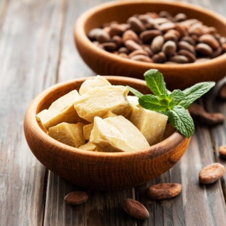 Bơ cacao là gì? Thành phần và công dụng của bơ cacao